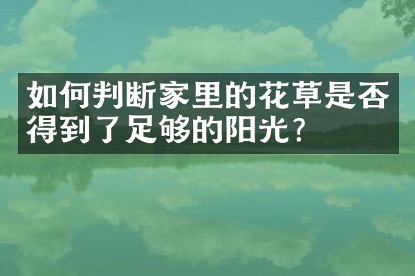 如何判断家里的花草是否得到了足够的阳光？