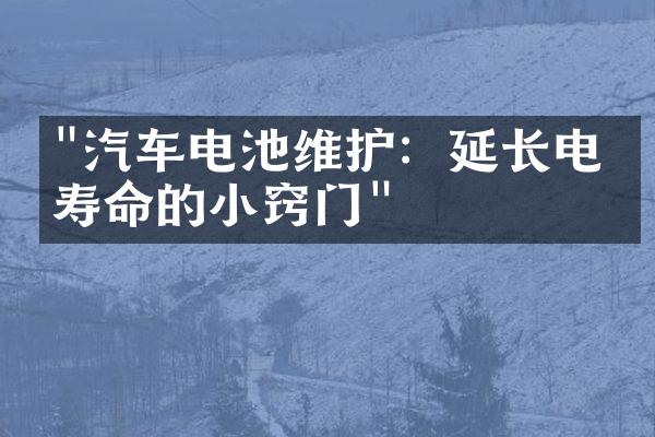 "汽车电池维护：延长电瓶寿命的小窍门"