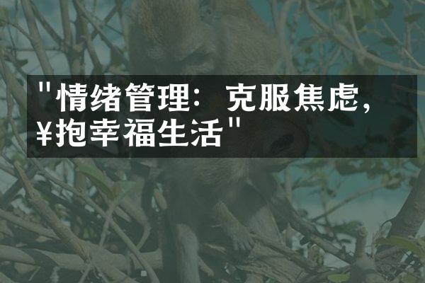 "情绪管理：克服焦虑，拥抱幸福生活"