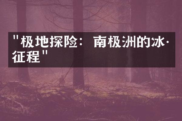 "极地探险：南极洲的冰川征程"