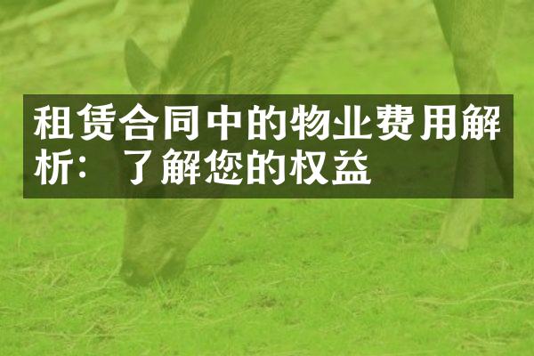 租赁合同中的物业费用解析：了解您的权益