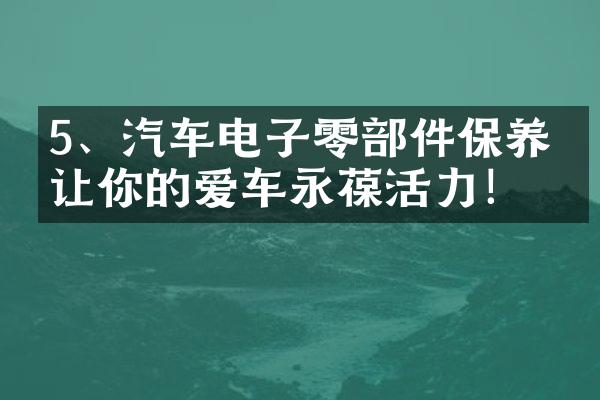 5、汽车电子零部件保养，让你的爱车永葆活力！