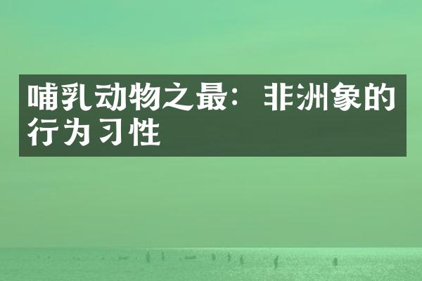 哺乳动物之最：非洲象的行为习性