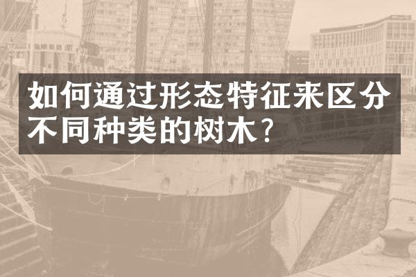 如何通过形态特征来区分不同种类的树木？