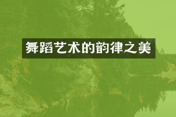 舞蹈艺术的韵律之美
