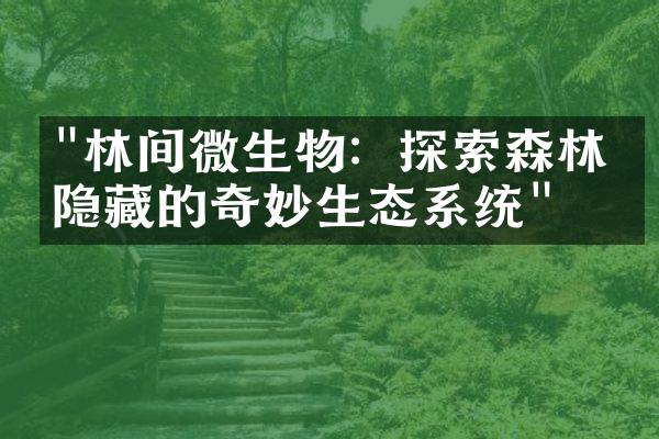 "林间微生物：探索森林中隐藏的奇妙生态系统"