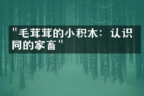 "毛茸茸的小积木：认识不同的家畜"