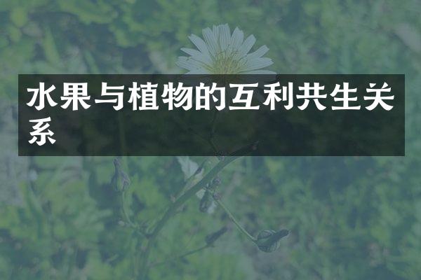 水果与植物的互利共生关系