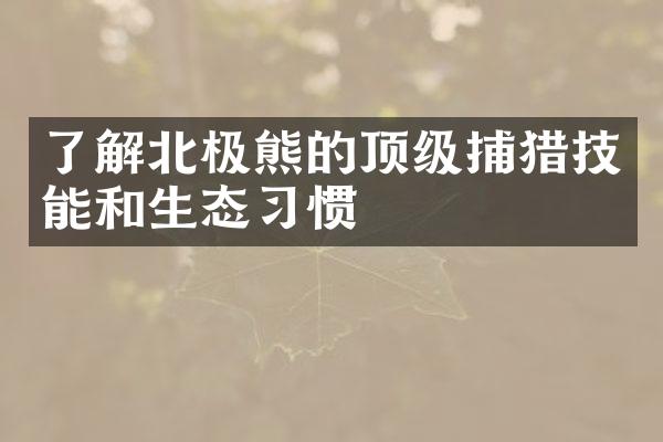 了解北极熊的顶级捕猎技能和生态习惯