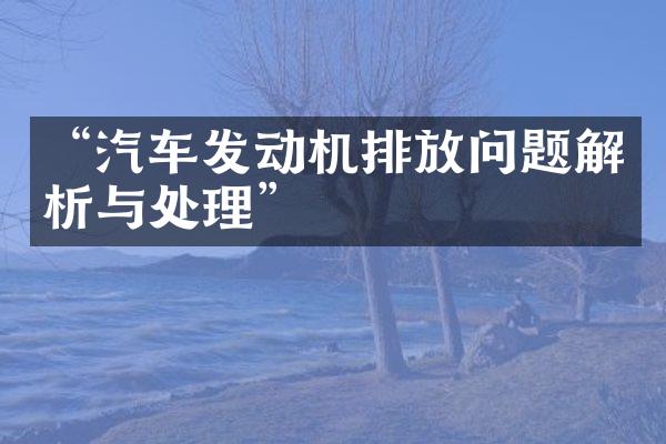 “汽车发动机排放问题解析与处理”
