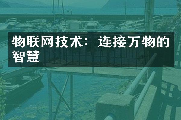 物联网技术：连接万物的智慧