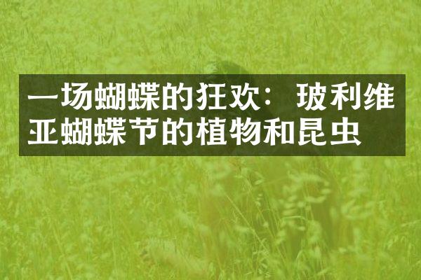 一场蝴蝶的狂欢：玻利维亚蝴蝶节的植物和昆虫