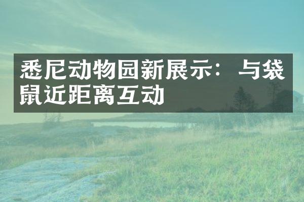 悉尼动物园新展示：与袋鼠近距离互动