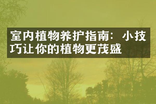 室内植物养护指南：小技巧让你的植物更茂盛