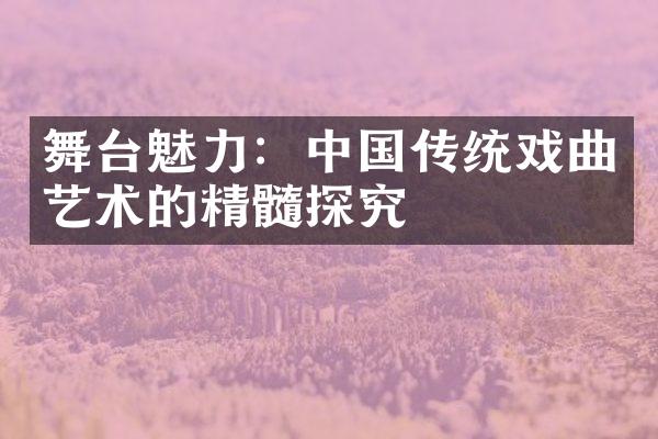 舞台魅力：中国传统戏曲艺术的精髓探究