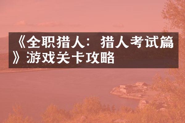 《全职猎人：猎人考试篇》游戏关卡攻略