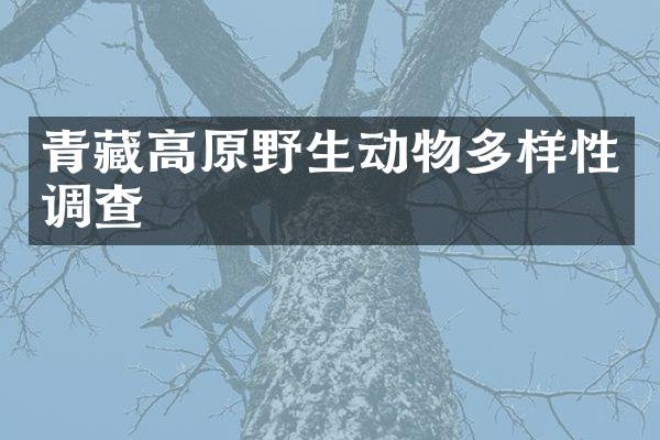 青藏高原野生动物多样性调查