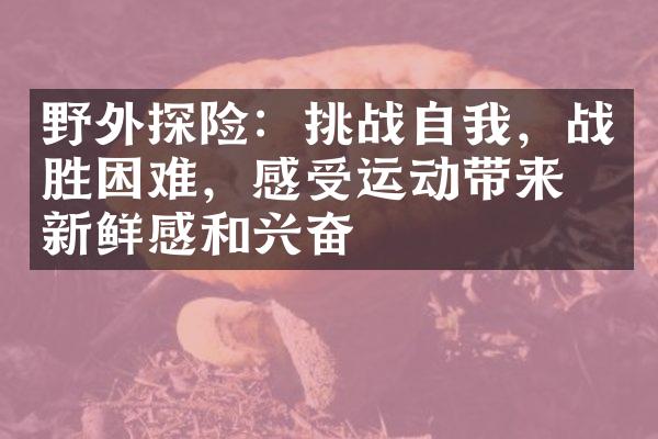 野外探险：挑战自我，战胜困难，感受运动带来的新鲜感和兴奋