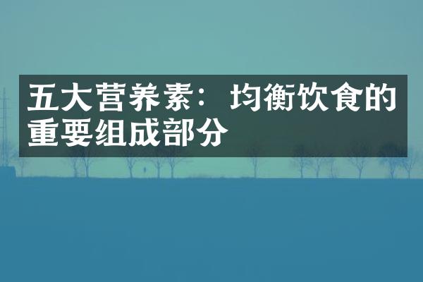五大营养素：均衡饮食的重要组成部分