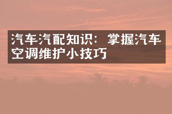 汽车汽配知识：掌握汽车空调维护小技巧