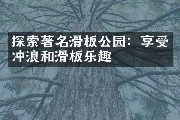探索著名滑板公园：享受冲浪和滑板乐趣