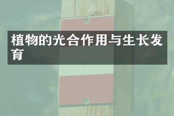 植物的光合作用与生长发育