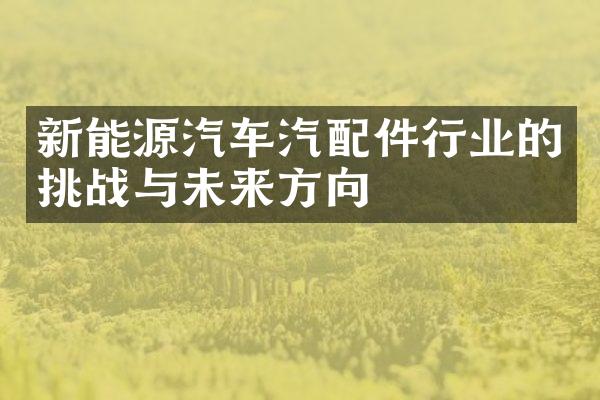 新能源汽车汽配件行业的挑战与未来方向