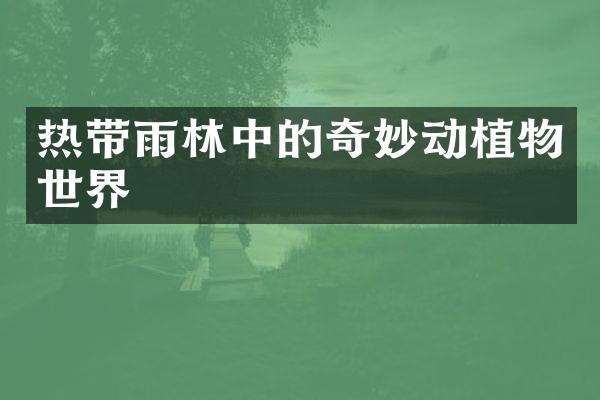 热带雨林中的奇妙动植物世界