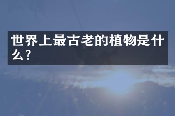 世界上最古老的植物是什么？