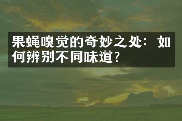果蝇嗅觉的奇妙之处：如何辨别不同味道？