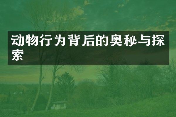 动物行为背后的奥秘与探索