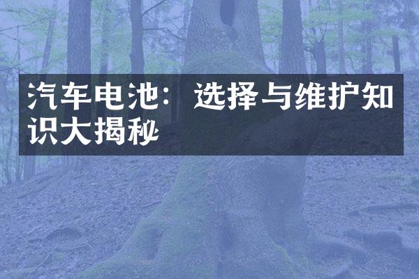 汽车电池：选择与维护知识大揭秘