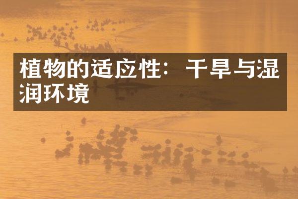 植物的适应性：干旱与湿润环境