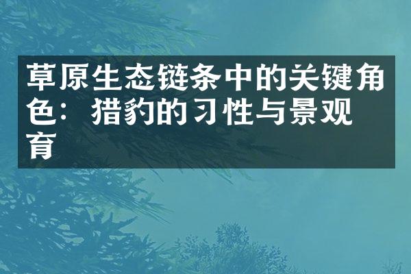 草原生态链条中的关键角色：猎豹的习性与景观保育