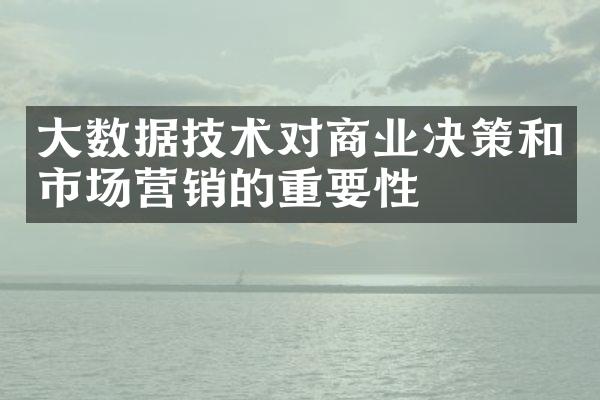 大数据技术对商业决策和市场营销的重要性