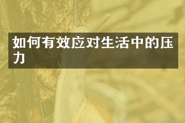 如何有效应对生活中的压力