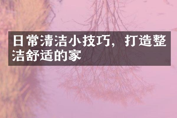 日常清洁小技巧，打造整洁舒适的家