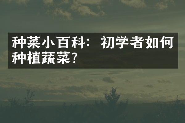 种菜小百科：初学者如何种植蔬菜？