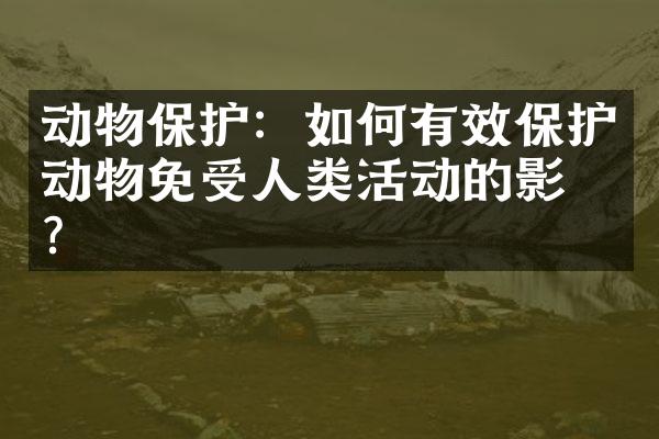 动物保护：如何有效保护动物免受人类活动的影响？