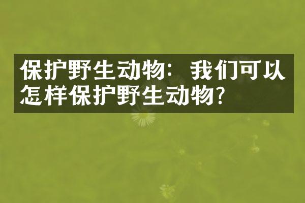 保护野生动物：我们可以怎样保护野生动物？