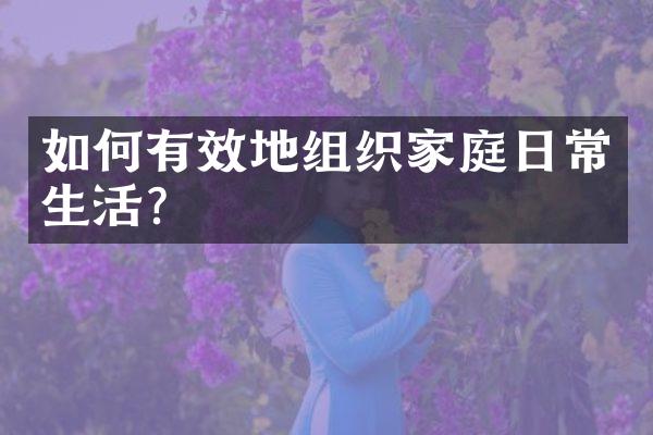 如何有效地组织家庭日常生活？
