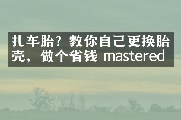 扎车胎？教你自己更换胎壳，做个省钱 mastered