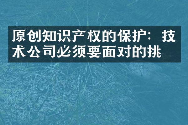 原创知识产权的保护：技术公司必须要面对的挑战