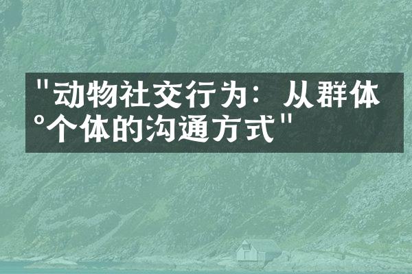"动物社交行为：从群体到个体的沟通方式"