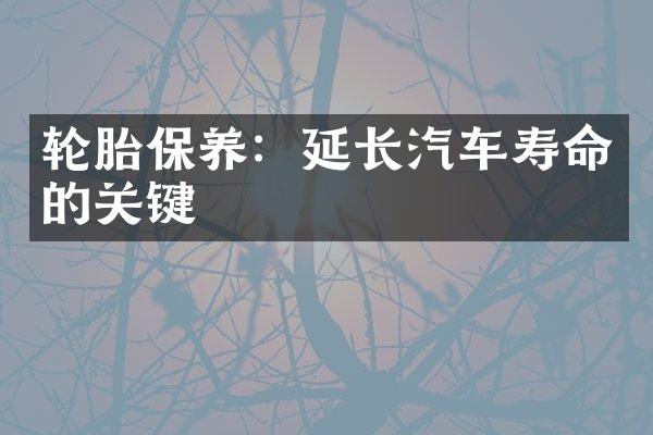 轮胎保养：延长汽车寿命的关键