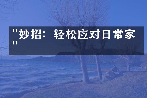 "妙招：轻松应对日常家务"