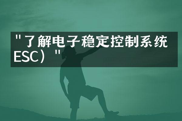 "了解电子稳定控制系统（ESC）"