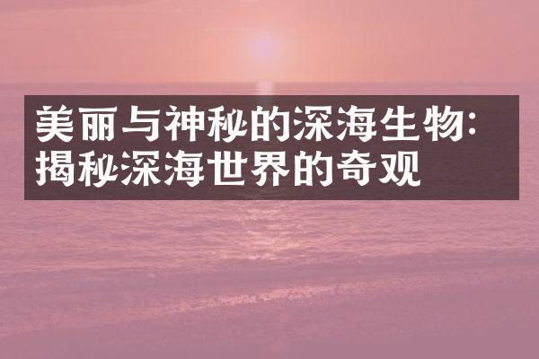 美丽与神秘的深海生物：揭秘深海世界的奇观
