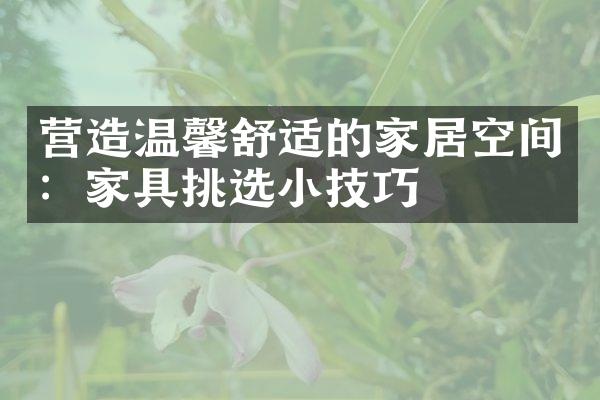 营造温馨舒适的家居空间：家具挑选小技巧