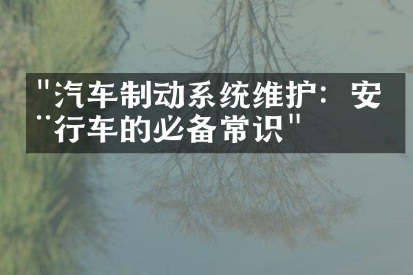 "汽车制动系统维护：安全行车的必备常识"